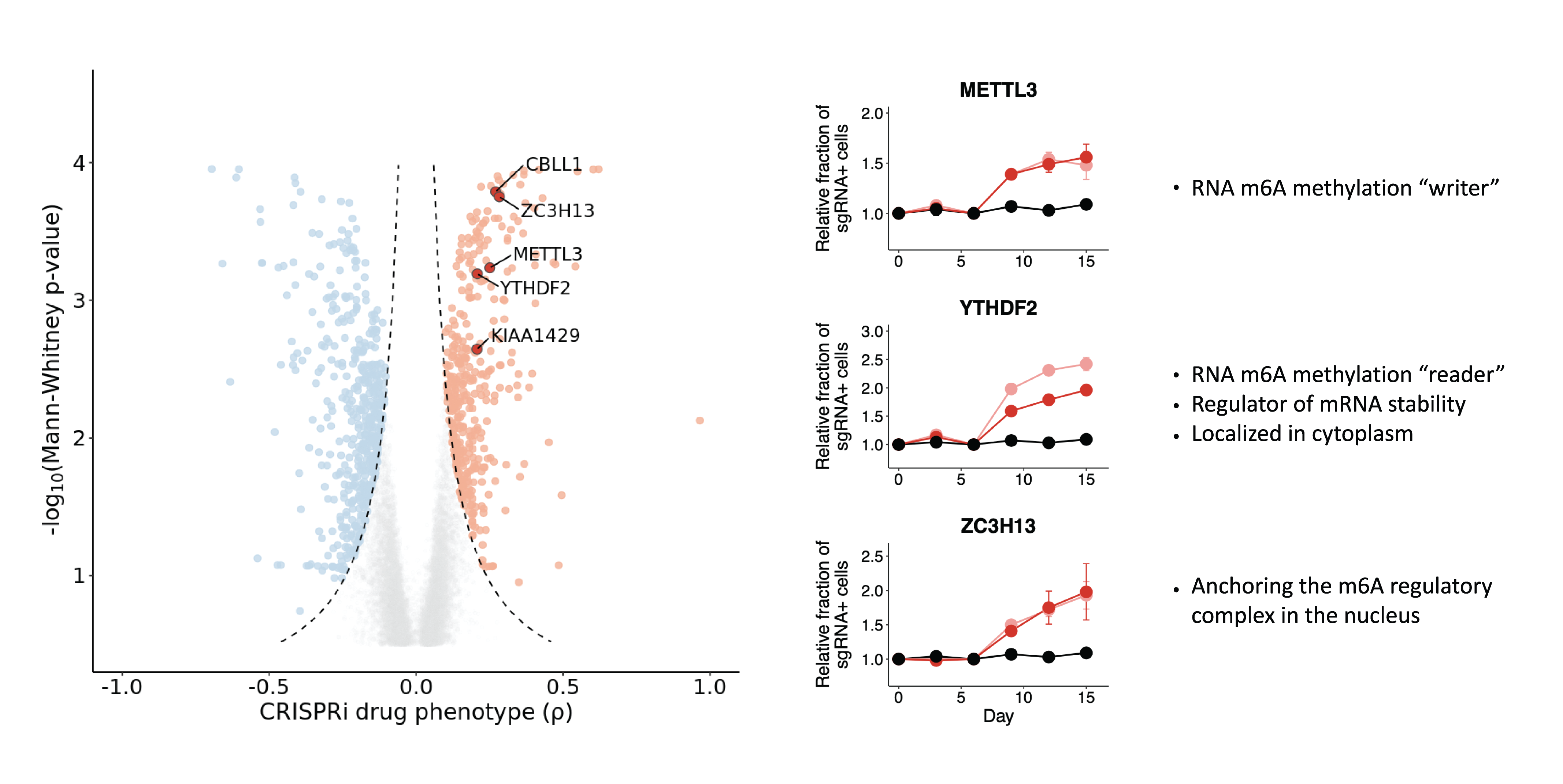 RNA_me_genes