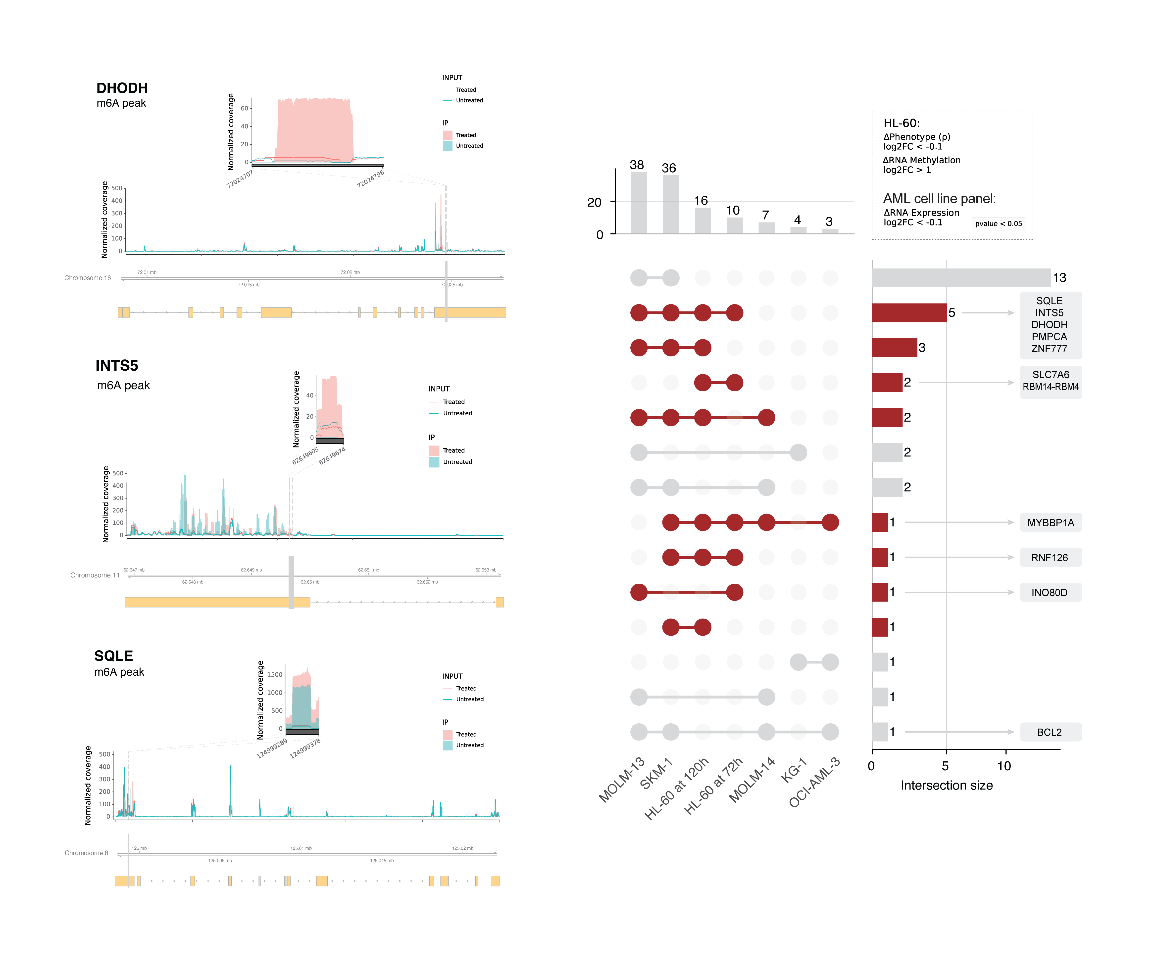 treatment_model_target_genes