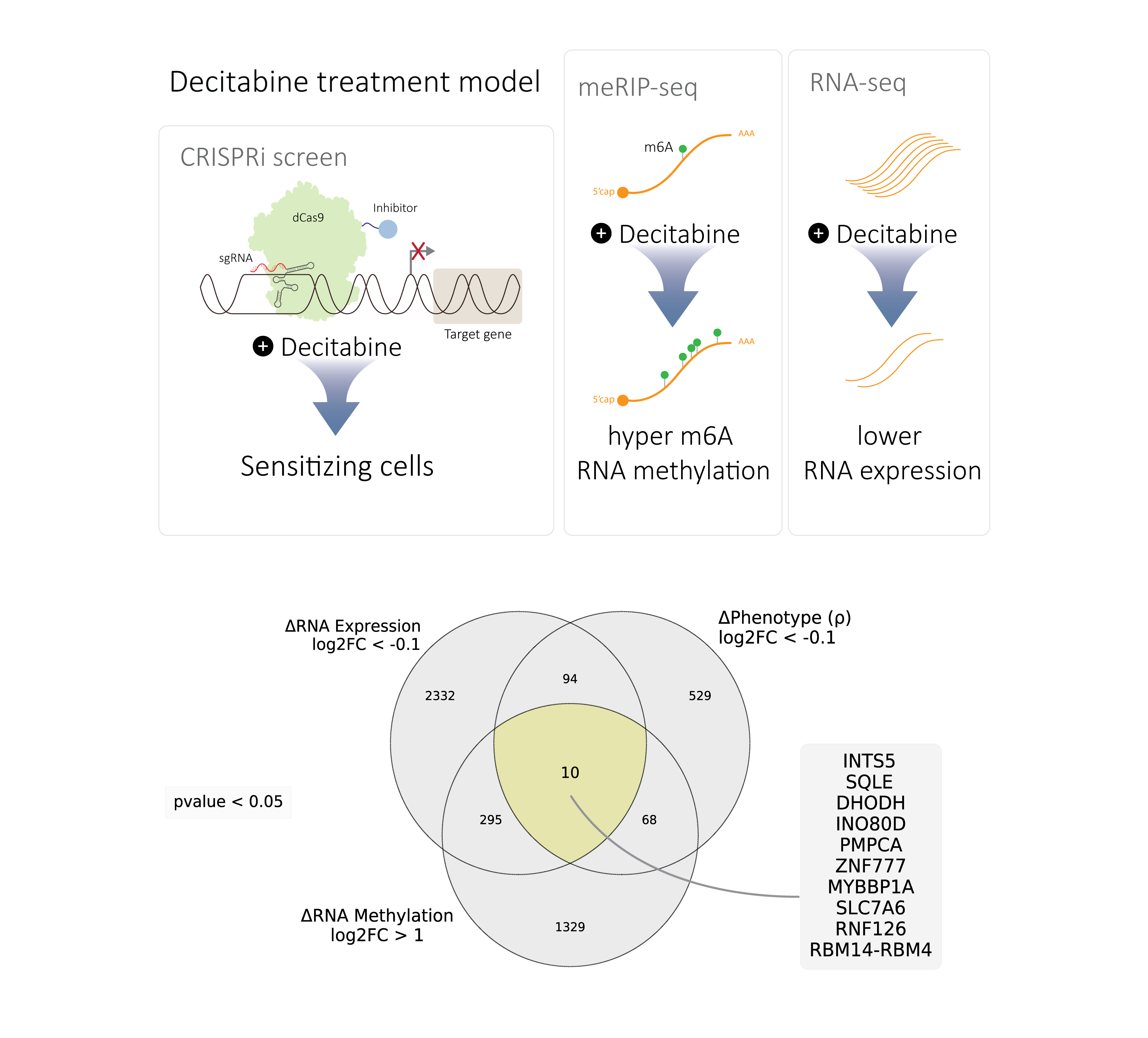 treatment_model_treatment_model